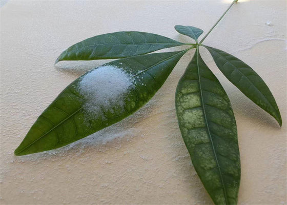 良い価格 高粘着性固体アクリル樹脂 インク用アルコールに溶ける オンライン